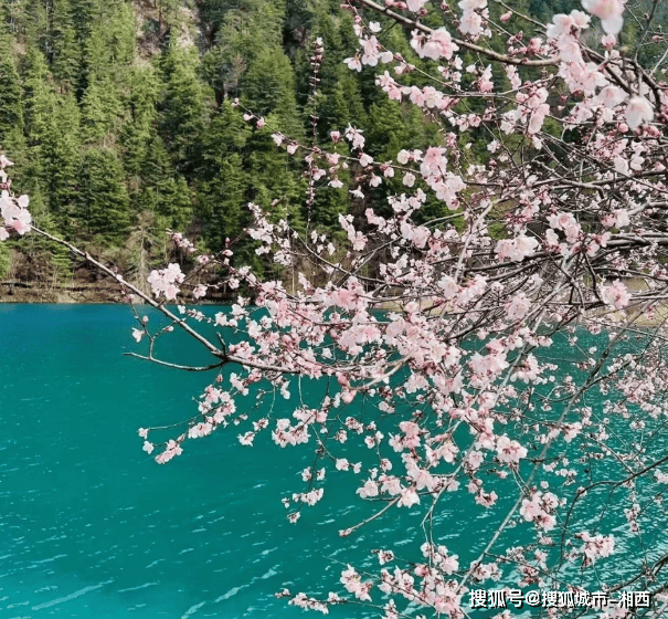 人定制经典行程高端旅游费用小贵但超轻松！九游会j9入口登录新版五一四川六天五晚私(图1)