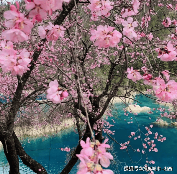 人定制经典行程高端旅游费用小贵但超轻松！九游会j9入口登录新版五一四川六天五晚私(图2)