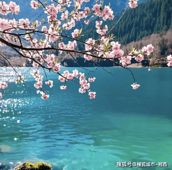 人定制经典行程高端旅游费用小贵但超轻松！九游会j9入口登录新版五一四川六天五晚私(图3)