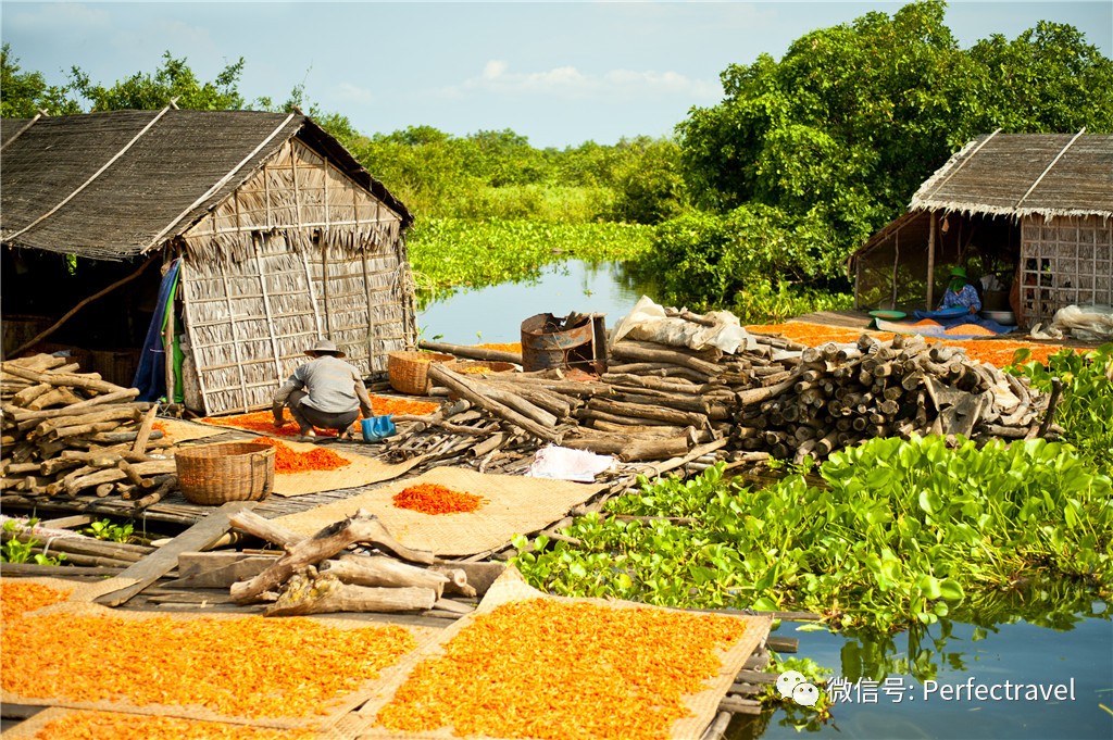 ition 世界最高大上的奢华河轮居然在这里j9九游会真人游戏第一Aqua Exped(图6)