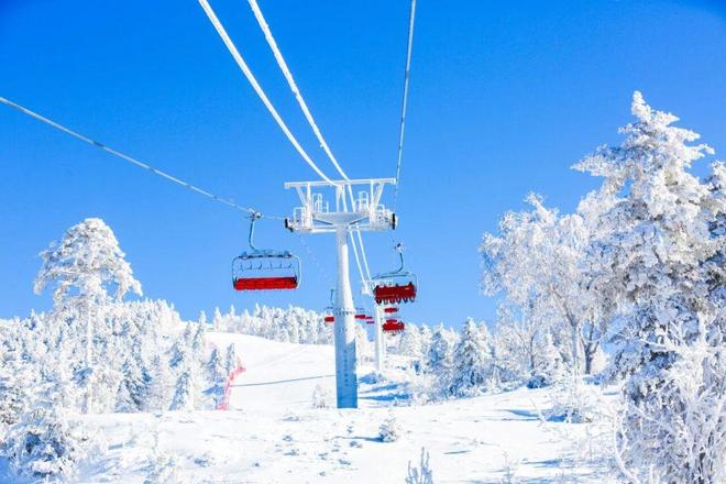 场人气Top榜！吉林登顶第一！j9九游会真人第一品牌全国雪(图4)