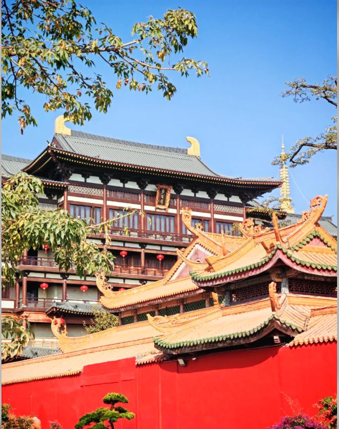 十名｜远胜游口碑与品质双榜标杆品牌！j9国际站2026潮州汕头旅行社前(图5)